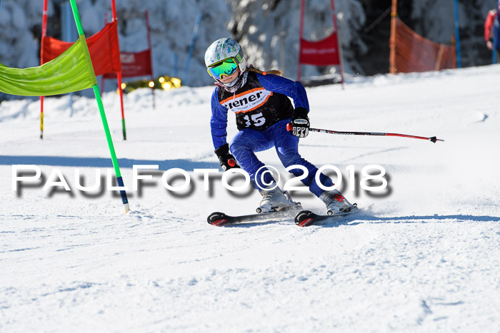 Ziener Cup WF, Finale, Quali + Parallelslalom, 24.03.2018