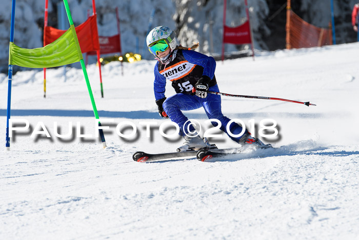 Ziener Cup WF, Finale, Quali + Parallelslalom, 24.03.2018