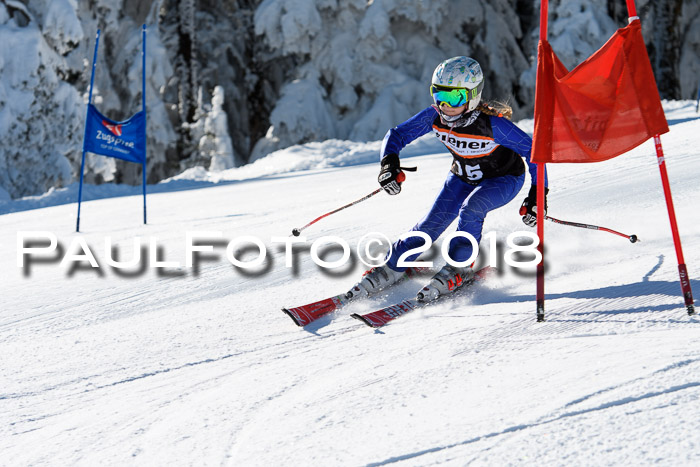 Ziener Cup WF, Finale, Quali + Parallelslalom, 24.03.2018