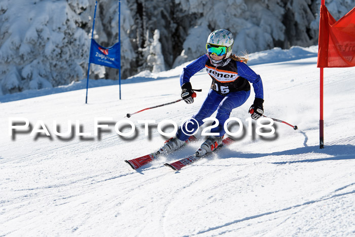 Ziener Cup WF, Finale, Quali + Parallelslalom, 24.03.2018
