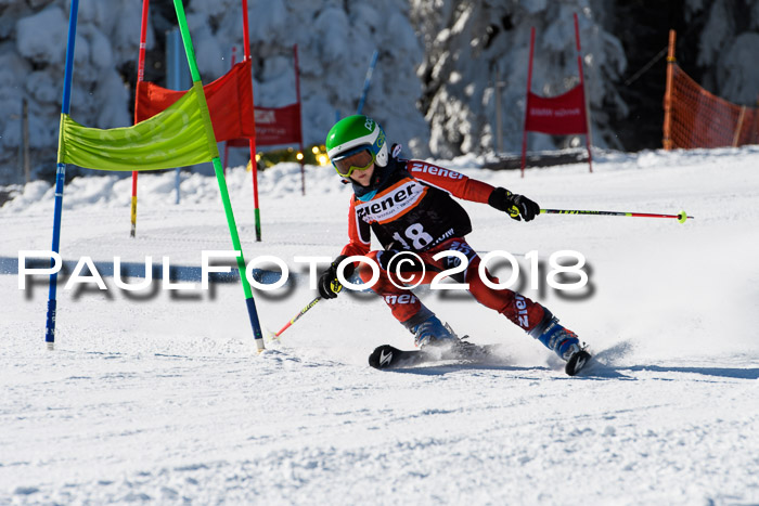 Ziener Cup WF, Finale, Quali + Parallelslalom, 24.03.2018