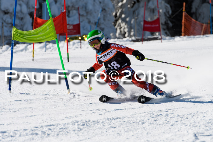 Ziener Cup WF, Finale, Quali + Parallelslalom, 24.03.2018