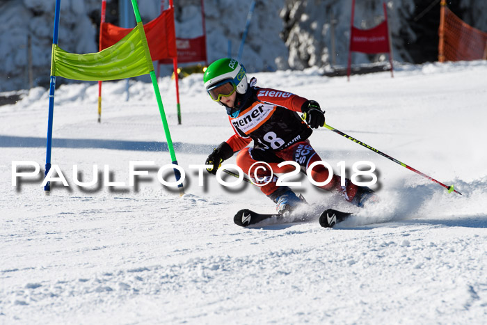 Ziener Cup WF, Finale, Quali + Parallelslalom, 24.03.2018