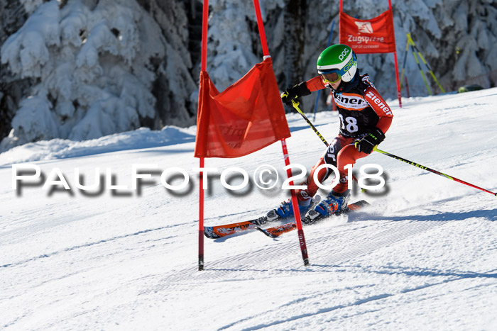 Ziener Cup WF, Finale, Quali + Parallelslalom, 24.03.2018