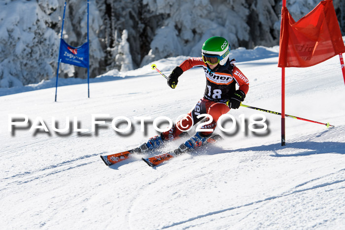 Ziener Cup WF, Finale, Quali + Parallelslalom, 24.03.2018