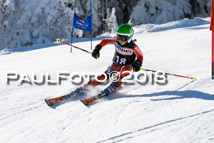 Ziener Cup WF, Finale, Quali + Parallelslalom, 24.03.2018