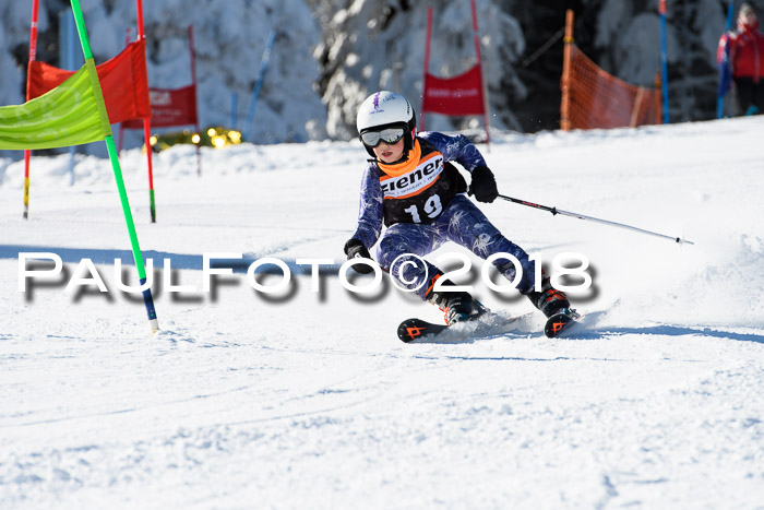 Ziener Cup WF, Finale, Quali + Parallelslalom, 24.03.2018