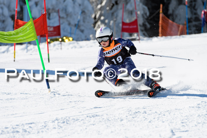 Ziener Cup WF, Finale, Quali + Parallelslalom, 24.03.2018