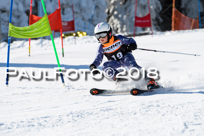 Ziener Cup WF, Finale, Quali + Parallelslalom, 24.03.2018