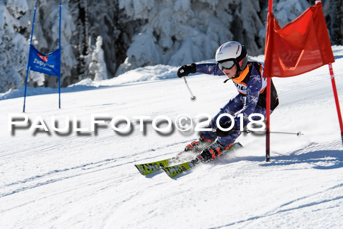 Ziener Cup WF, Finale, Quali + Parallelslalom, 24.03.2018