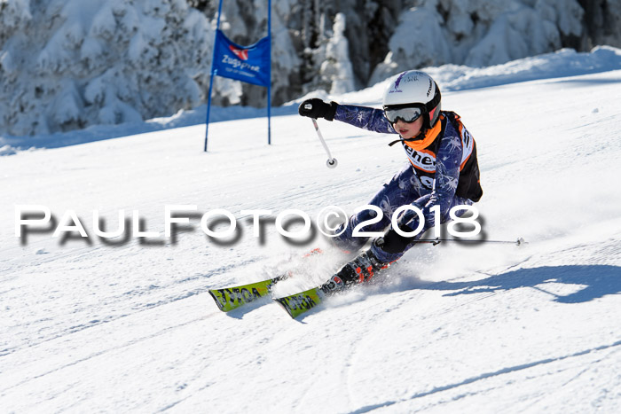 Ziener Cup WF, Finale, Quali + Parallelslalom, 24.03.2018