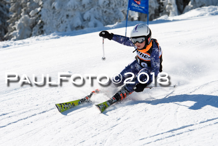 Ziener Cup WF, Finale, Quali + Parallelslalom, 24.03.2018
