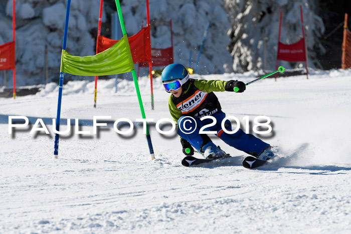 Ziener Cup WF, Finale, Quali + Parallelslalom, 24.03.2018
