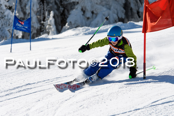 Ziener Cup WF, Finale, Quali + Parallelslalom, 24.03.2018