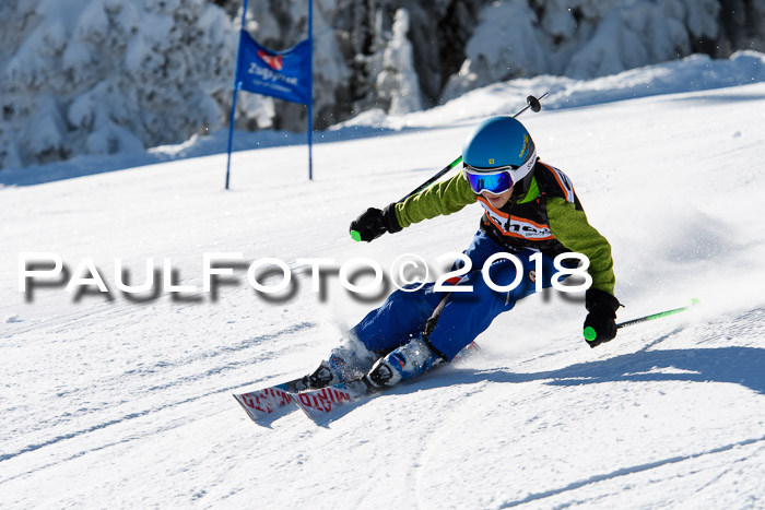 Ziener Cup WF, Finale, Quali + Parallelslalom, 24.03.2018