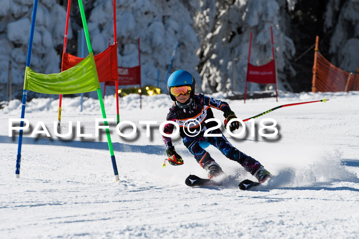 Ziener Cup WF, Finale, Quali + Parallelslalom, 24.03.2018