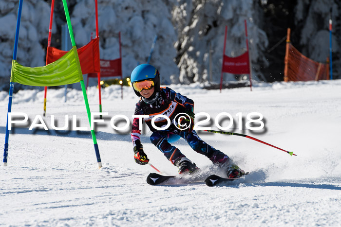 Ziener Cup WF, Finale, Quali + Parallelslalom, 24.03.2018