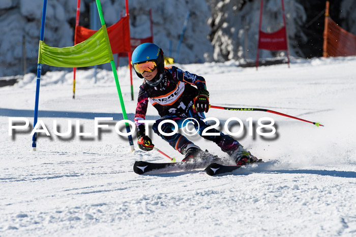 Ziener Cup WF, Finale, Quali + Parallelslalom, 24.03.2018