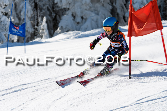 Ziener Cup WF, Finale, Quali + Parallelslalom, 24.03.2018