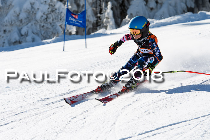 Ziener Cup WF, Finale, Quali + Parallelslalom, 24.03.2018