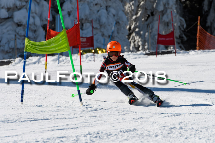 Ziener Cup WF, Finale, Quali + Parallelslalom, 24.03.2018