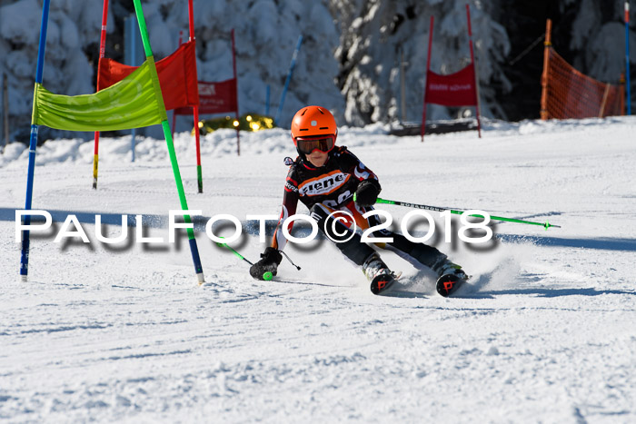 Ziener Cup WF, Finale, Quali + Parallelslalom, 24.03.2018
