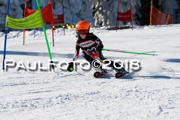 Ziener Cup WF, Finale, Quali + Parallelslalom, 24.03.2018