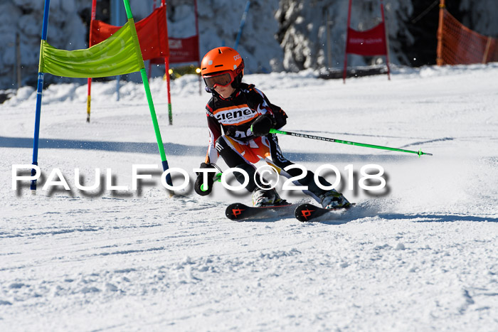 Ziener Cup WF, Finale, Quali + Parallelslalom, 24.03.2018