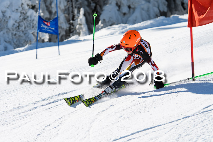 Ziener Cup WF, Finale, Quali + Parallelslalom, 24.03.2018