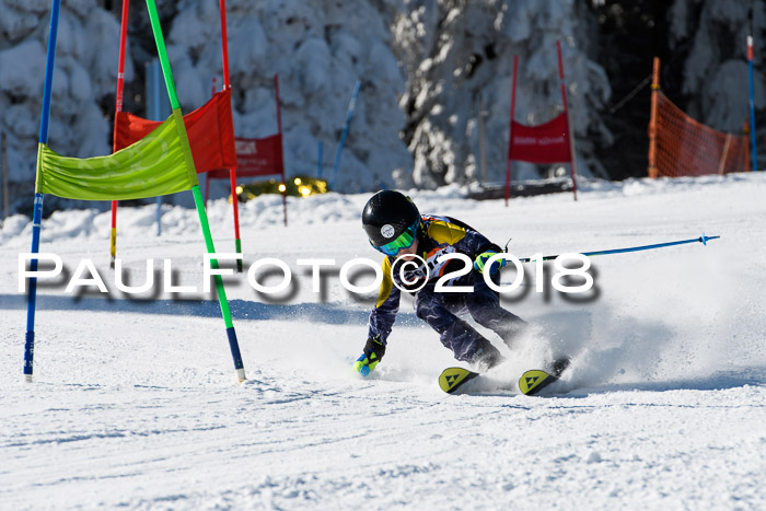 Ziener Cup WF, Finale, Quali + Parallelslalom, 24.03.2018