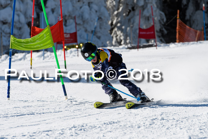 Ziener Cup WF, Finale, Quali + Parallelslalom, 24.03.2018