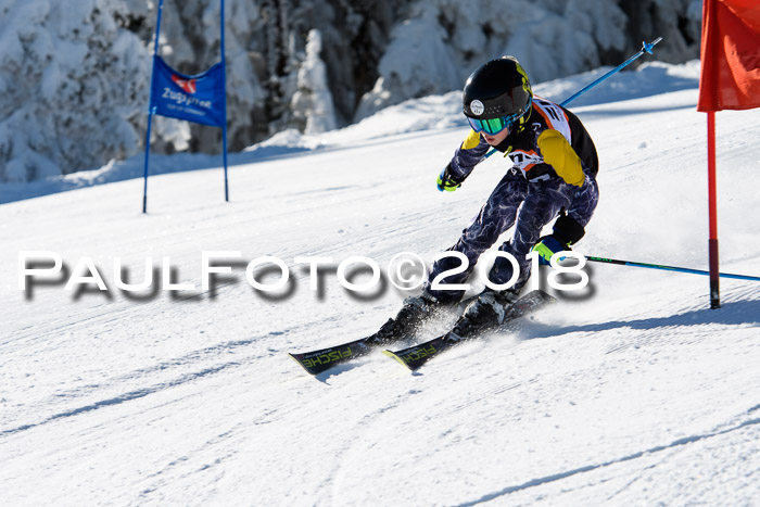 Ziener Cup WF, Finale, Quali + Parallelslalom, 24.03.2018