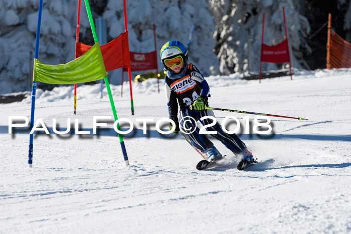Ziener Cup WF, Finale, Quali + Parallelslalom, 24.03.2018