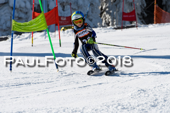 Ziener Cup WF, Finale, Quali + Parallelslalom, 24.03.2018