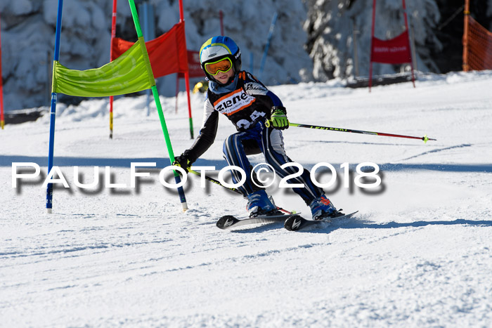 Ziener Cup WF, Finale, Quali + Parallelslalom, 24.03.2018