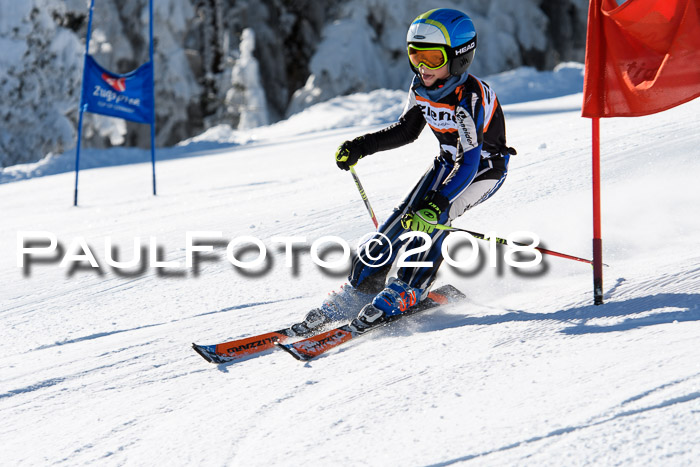 Ziener Cup WF, Finale, Quali + Parallelslalom, 24.03.2018