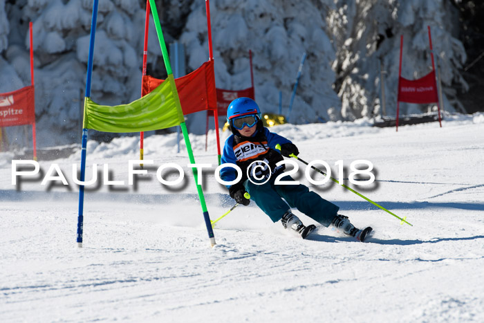 Ziener Cup WF, Finale, Quali + Parallelslalom, 24.03.2018