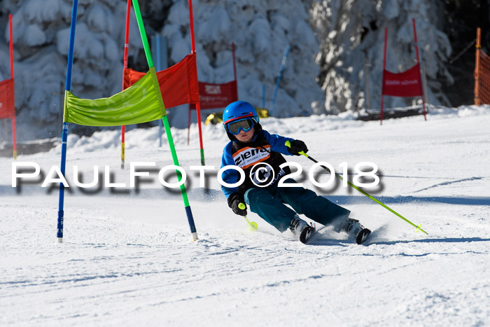 Ziener Cup WF, Finale, Quali + Parallelslalom, 24.03.2018