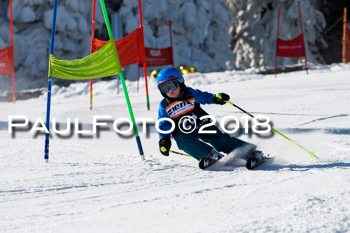 Ziener Cup WF, Finale, Quali + Parallelslalom, 24.03.2018