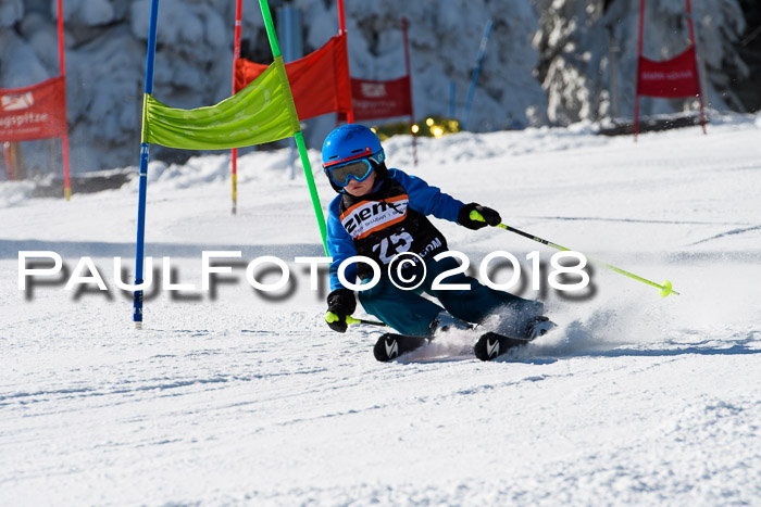 Ziener Cup WF, Finale, Quali + Parallelslalom, 24.03.2018