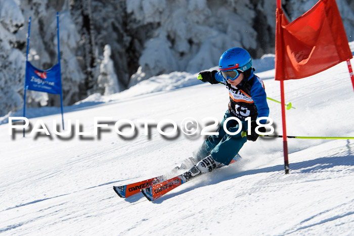 Ziener Cup WF, Finale, Quali + Parallelslalom, 24.03.2018