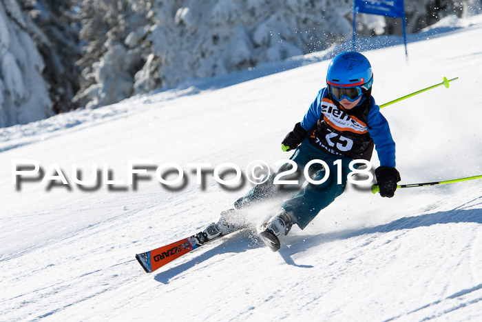 Ziener Cup WF, Finale, Quali + Parallelslalom, 24.03.2018