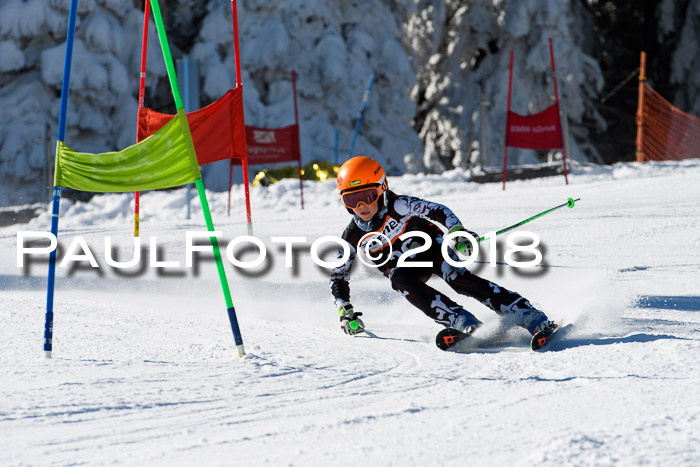 Ziener Cup WF, Finale, Quali + Parallelslalom, 24.03.2018