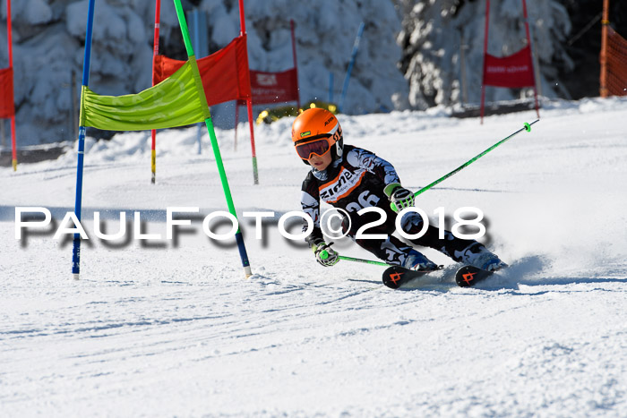 Ziener Cup WF, Finale, Quali + Parallelslalom, 24.03.2018