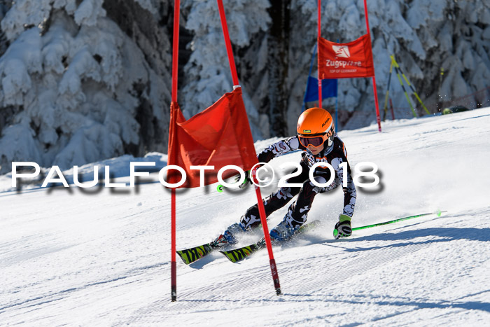 Ziener Cup WF, Finale, Quali + Parallelslalom, 24.03.2018