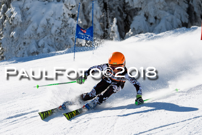 Ziener Cup WF, Finale, Quali + Parallelslalom, 24.03.2018