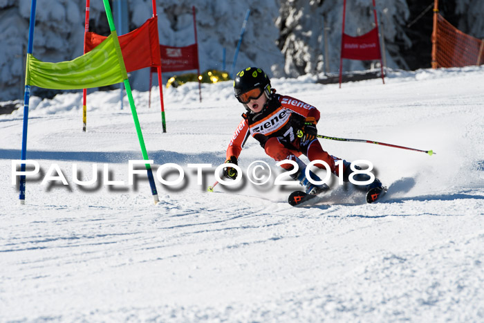 Ziener Cup WF, Finale, Quali + Parallelslalom, 24.03.2018