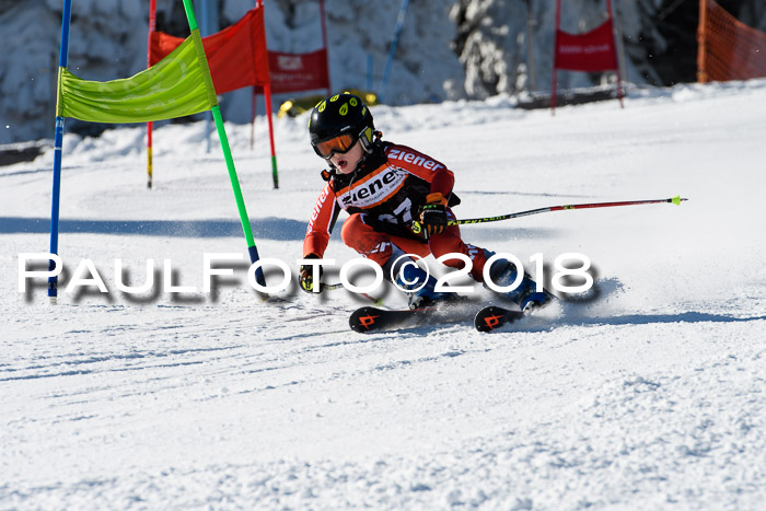 Ziener Cup WF, Finale, Quali + Parallelslalom, 24.03.2018