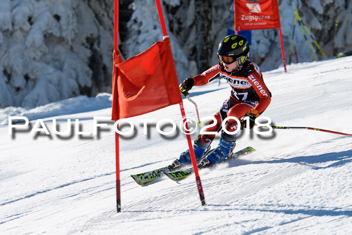 Ziener Cup WF, Finale, Quali + Parallelslalom, 24.03.2018