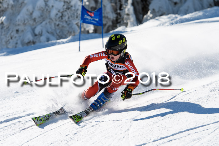 Ziener Cup WF, Finale, Quali + Parallelslalom, 24.03.2018